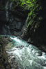 Spring Water vs Distilled Water