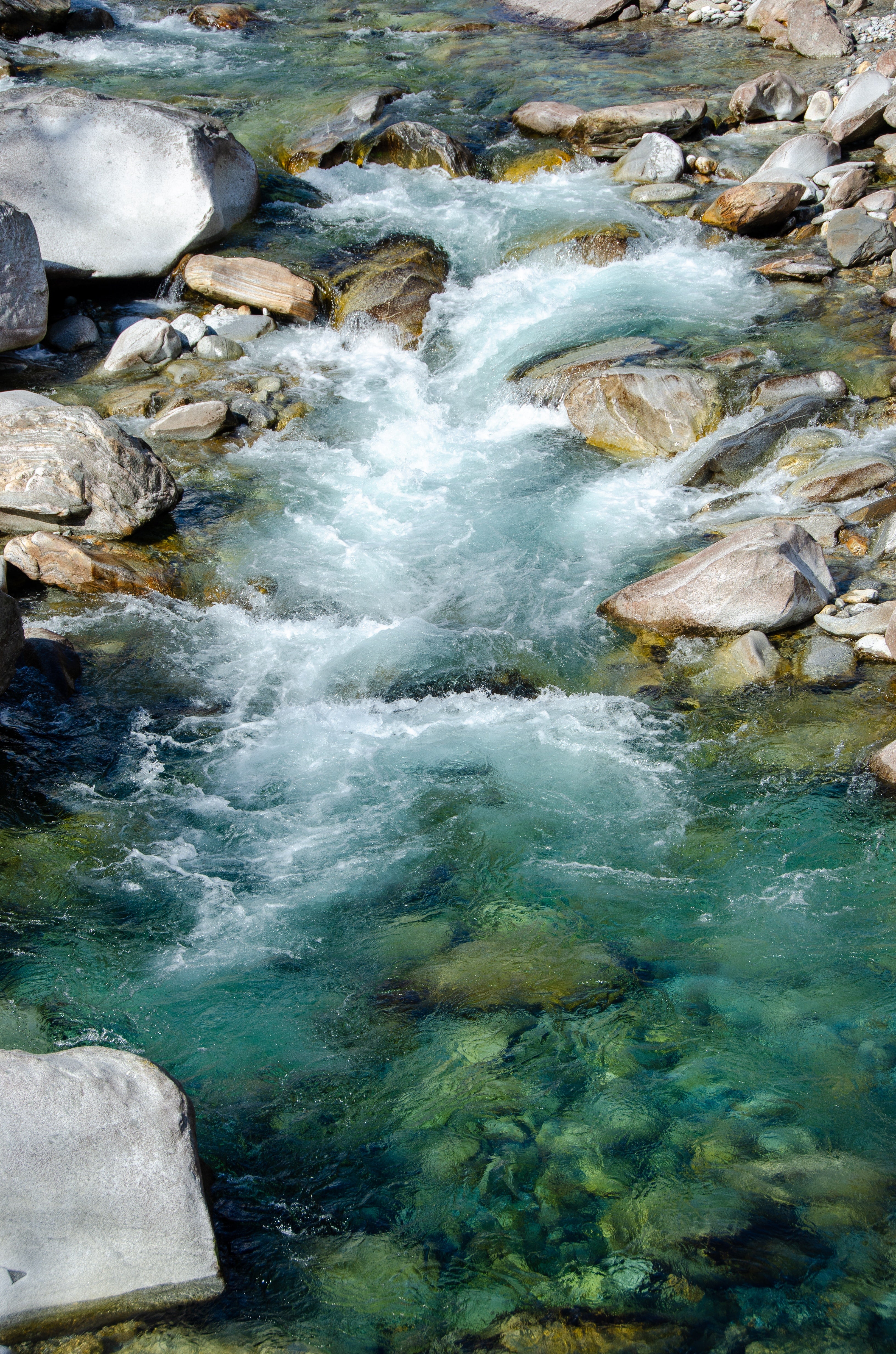 Spring Wate Sourse Spring Water vs Filtered Water | Natural Springs Australia