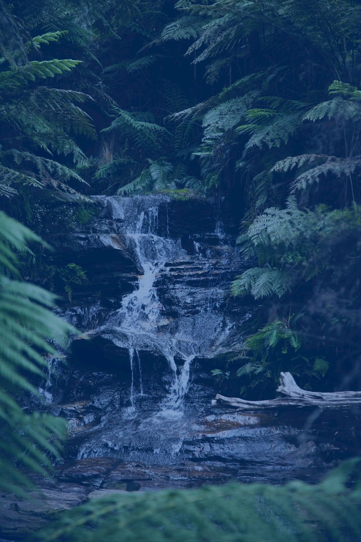 Natural Springs Australia | Volcanic Spring Water
